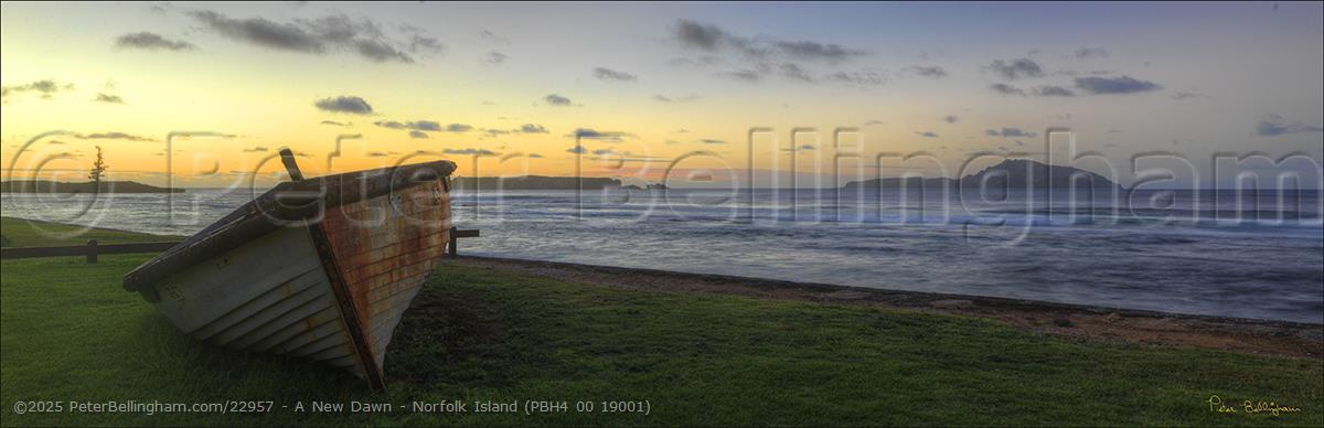 Peter Bellingham Photography A New Dawn - Norfolk Island (PBH4 00 19001)
